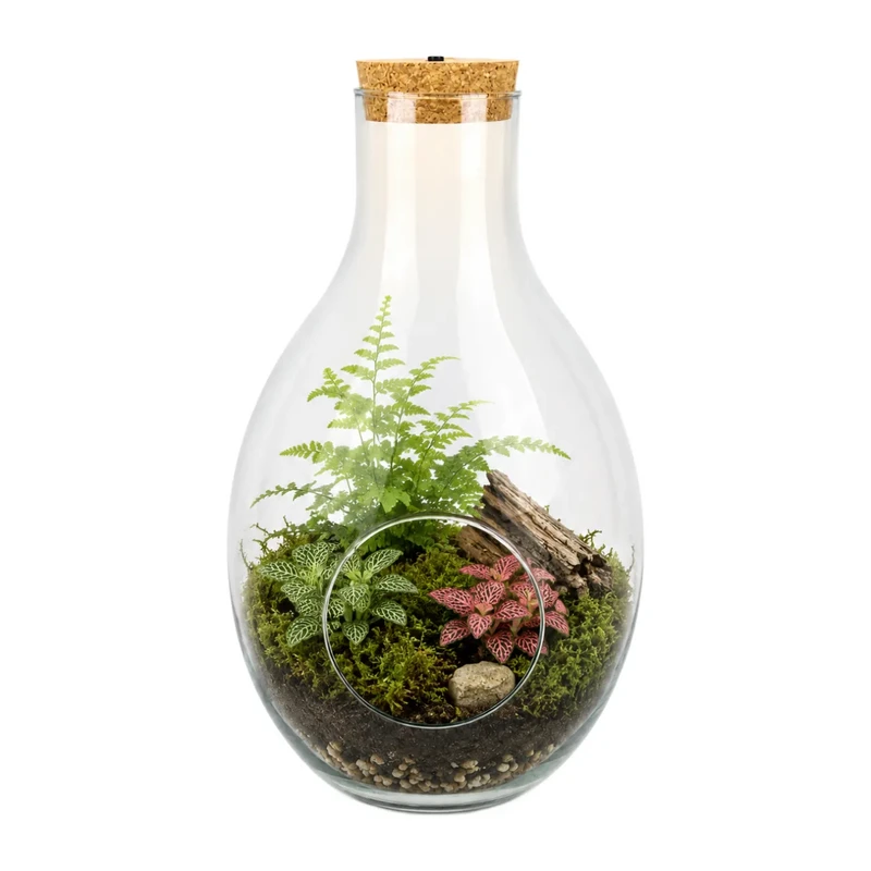 Glass Terrarium with Side Opening and LED Cork W-379 37 cm