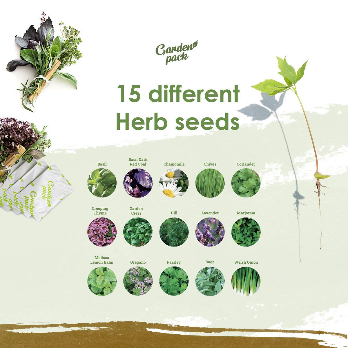 Grow Your Own 100 Seed Box