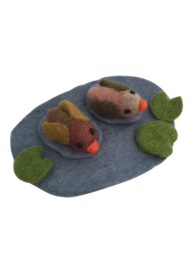 Papoose Village Pond Ducks