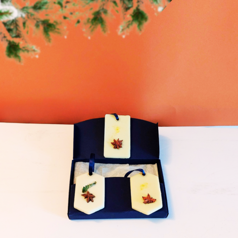 Box of 3 solid home fragrances Citrus Zest