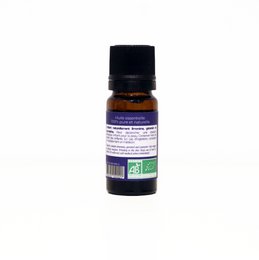 Økologisk fin lavendel æterisk olie - 10mL