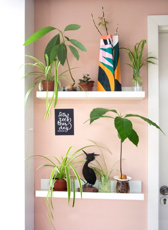 Card & Vase in One - Large - Papaya