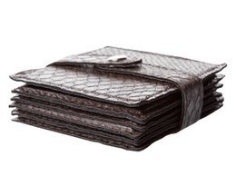 Recubrimiento de vidrio 6-er set reptil marrón oscuro