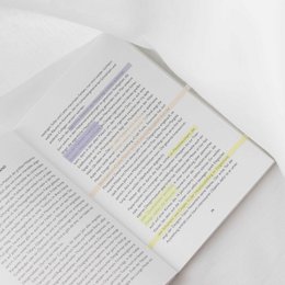 Golden Amethyst | Ordinate Lange Seitenmarker Transparente Haftnotizen Sticky Notes Bunte Seitenmarkierungen Klebrige Index-Register für Annotieren Bücher,Highlighter Strips zum Hervorheben