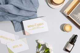 LSW Mind Cards