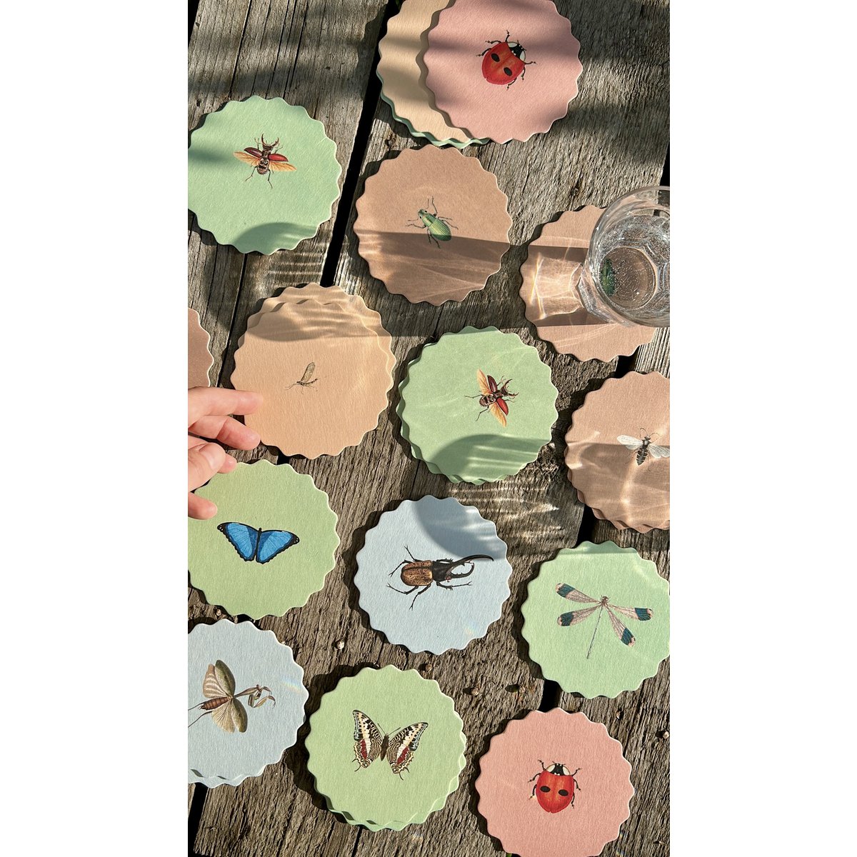 Coasters 10 motiver insekter - 12 sæt