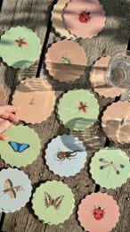 Coasters 10 motiver insekter - 12 sæt