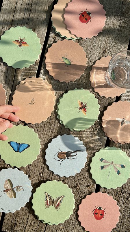 Coasters 10 motiver insekter - 12 sæt