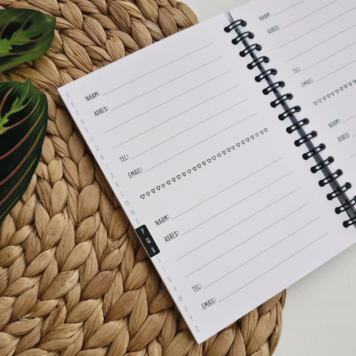 Address book | A6