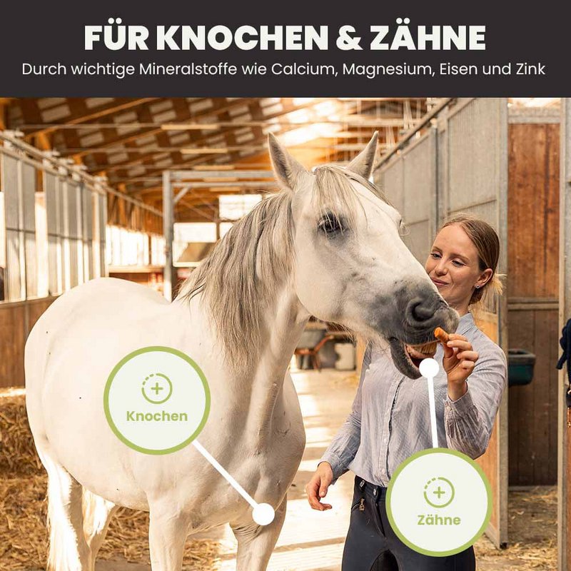 PFERDESTARK Premium organic hemp pellets for horses, horse feed, grain-free mineral feed, 5kg bag of hemp press cake