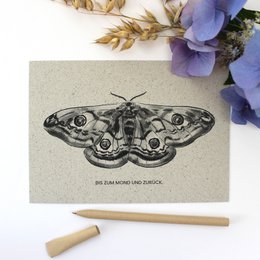 Wenskaart gemaakt van graspapier, Peacock Moth
