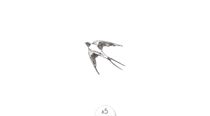 Temporary tattoo: swallow