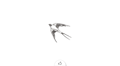 Temporary tattoo: swallow