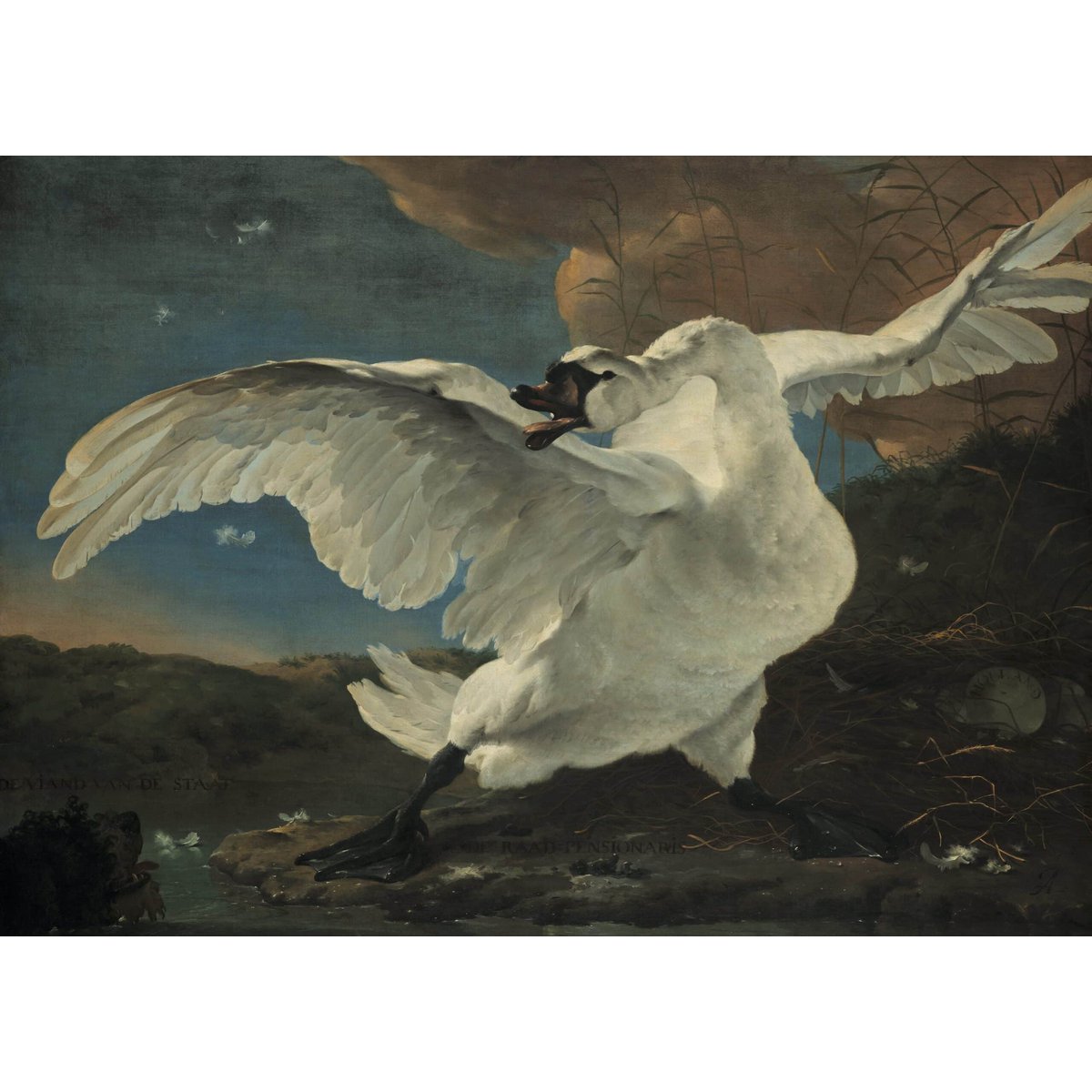Poster Jan Asselijn - Der bedrohte Schwan