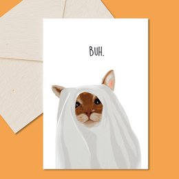 Greeting card with a celebratory cat wearing a party hat and holding a bottle of champagne. The card has the text "Cheers" printed on it.