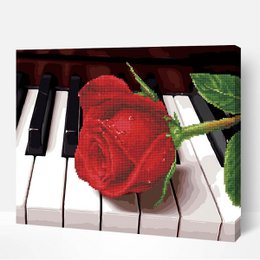 Kit hybride Piano Rose