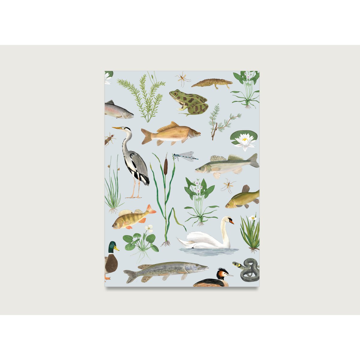 Postkaart "Rond the Water" P_89 voor de natuur, dieren, planten, boswachter, jager, natuurliefhebber || Hart en papier