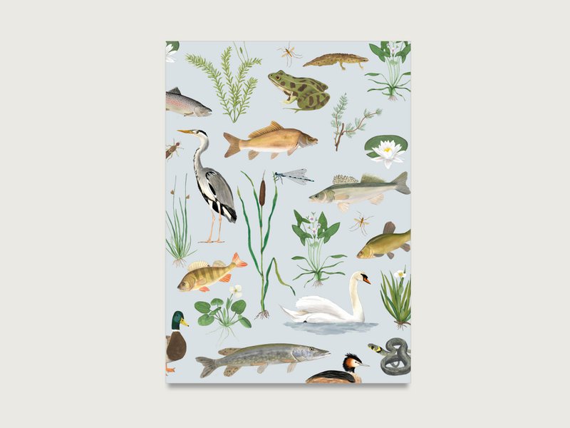 Postcard "Around the Water" P_89 per natura, animali, piante, forester, cacciatore, amante della natura || Cuore e carta