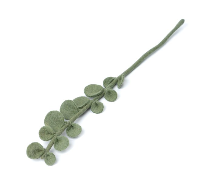Tak Eucalyptus