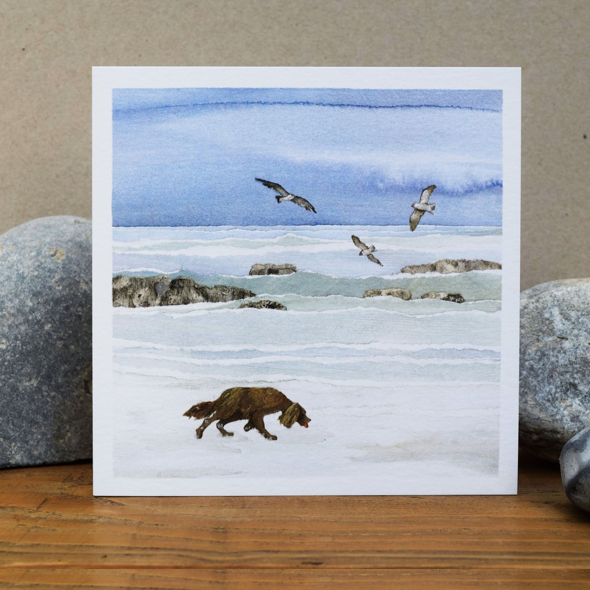 Carte Chien et Mer (bord de mer et côtier)