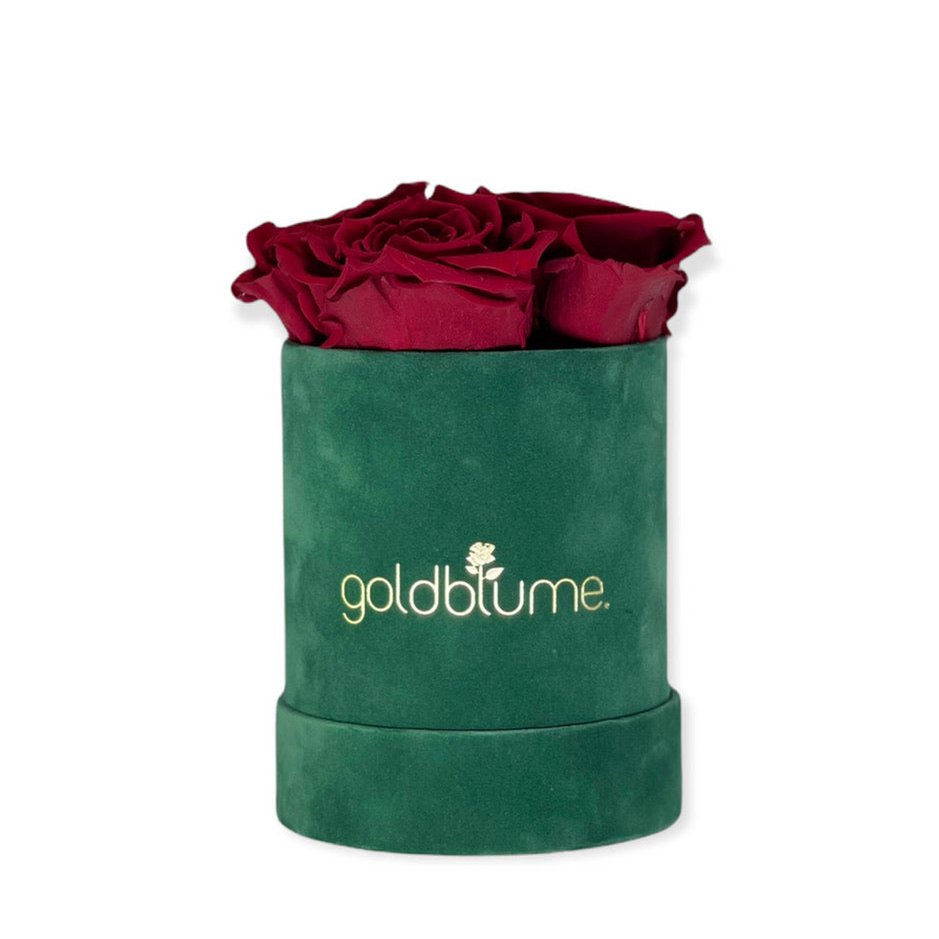 Velvet Green Collection