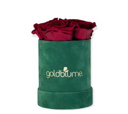 Velvet Green Collection