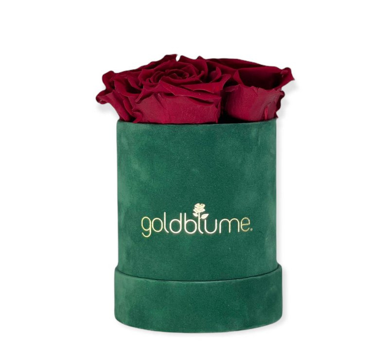 Velvet Green Collection