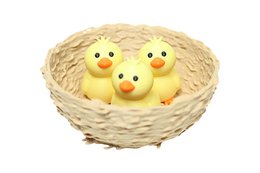 Bowl - Vogelnest