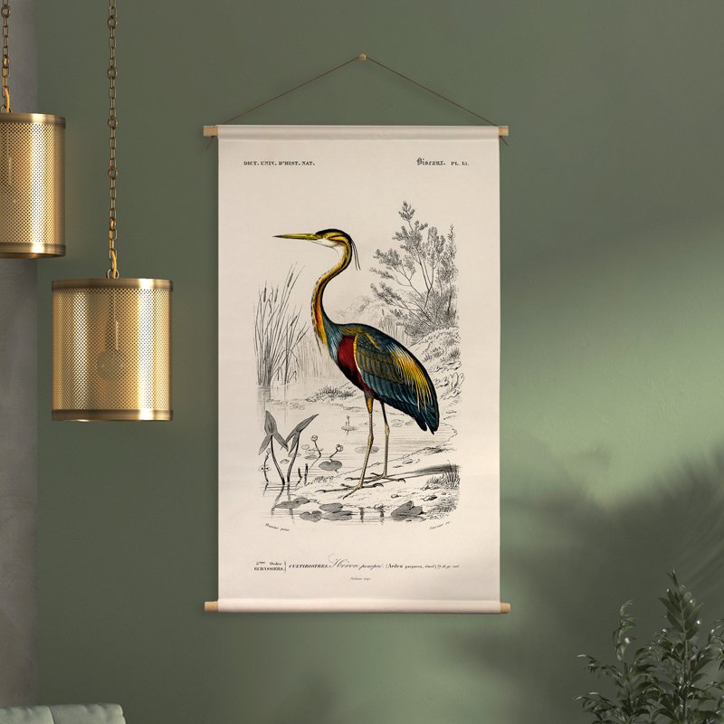 Póster textil con cordón de cuero - Ilustración Reiger D'Orbigny 65x45 cm - paño de pared