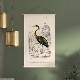 Tekstilplakat med lædersnor - Illustration Reiger D'Orbigny 65x45 cm - vægdug