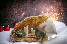 Julkrybben i en østers