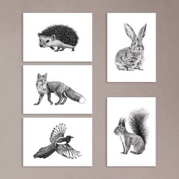 Estampados de animales del bosque