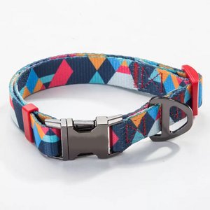 Dog Collar Multicolor - 0202-6