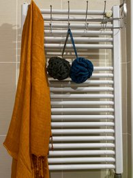 Zero Waste Shower Lefe