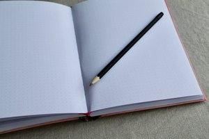 Blue tit bullet journal pro Wonderland - Peach Wingmonkey