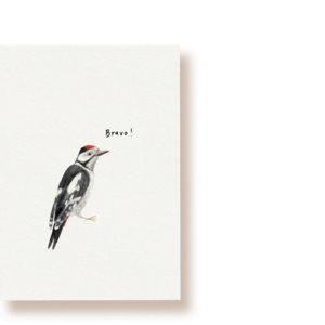 Bravo Specht! | Postkarte