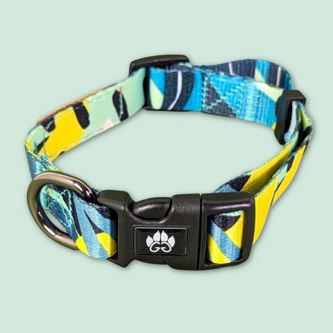 Reef dog collar