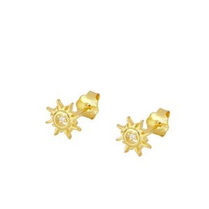 ARI Pendientes