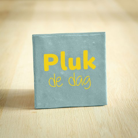 Tegeltje - Pluk De Dag | Lichtblauw & Geel | 10x10cm