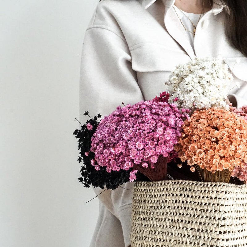 Glixia in diversity: Colorful dried flowers for creative decoration