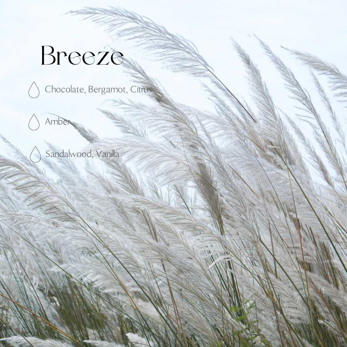 Powder/ Sand/ Pearl Candle Gift Tube – Breeze Scented  – 650g – Ready-to-Use Boutique Premium Candle