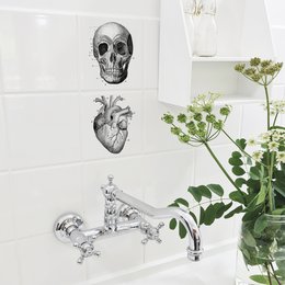 Anatomia - adesivi per piastrelle