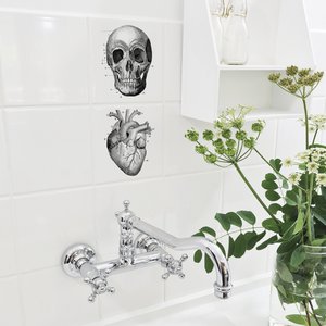 Anatomy - stickers for tiles
