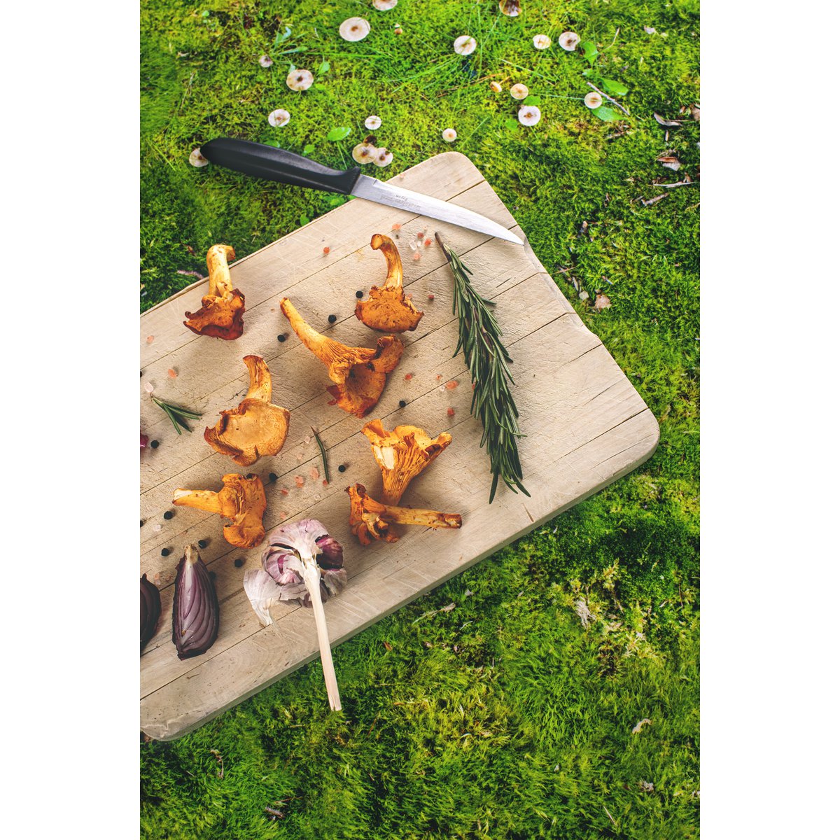 MOSS - tablecloth