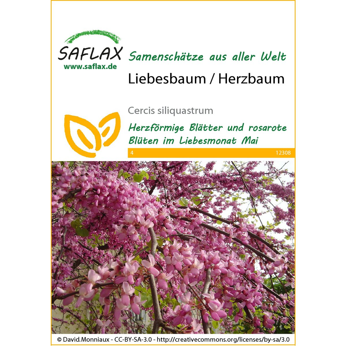 Liebesbaum / Herzbaum