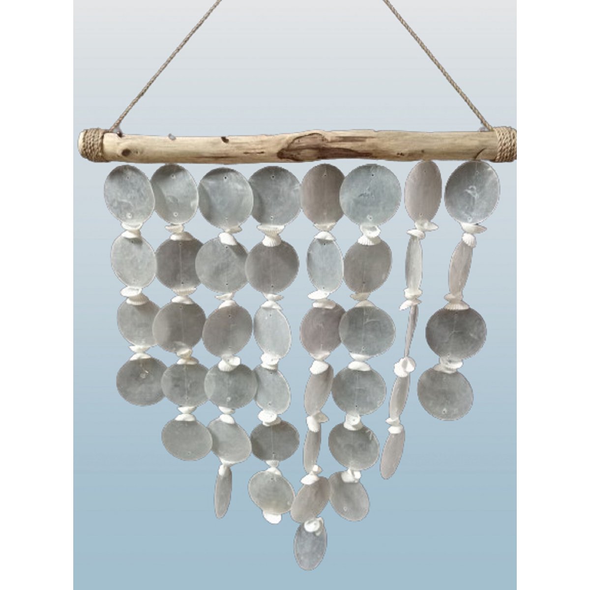 Cintre de coquille
