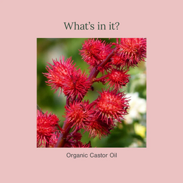 Organic Castor Cold Pressed Carrier Oil - 30ml