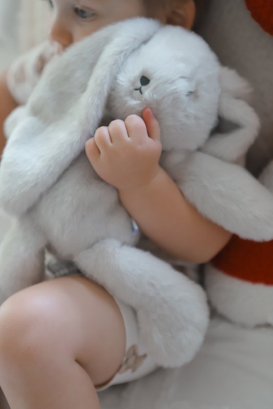 Lulla Bunny sleeping toy