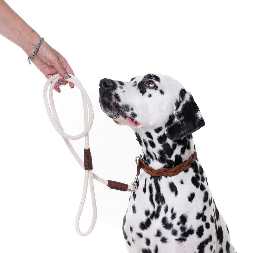Just Cotton Dog Leash