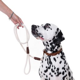 Just Cotton Dog Leash